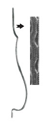 Baluster 13.605 sq. 14 (forging)