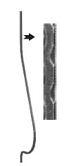 Baluster 13.603 sq. 10 (forging)